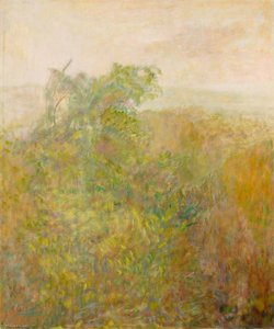 Beech Tree — Adrian Durham Stokes