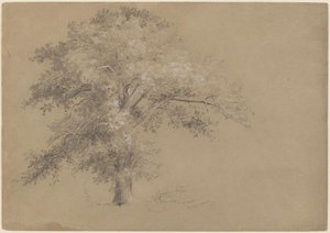 White Oak — Jasper Francis Cropsey