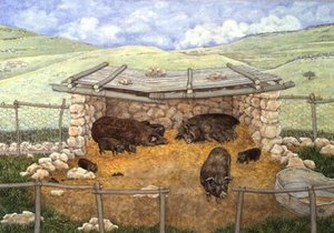 's Pigs — Vincent Clare