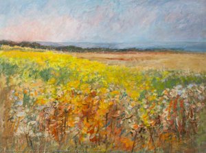 Evening Light (Field of Wild Flowers)