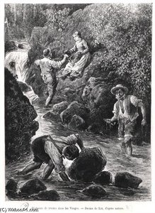 Fishing For Trout In The Vosges