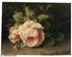 Pink Roses
