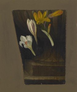 Crocus — Moïse Jacobber