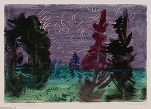 Trees Against the Night Sky