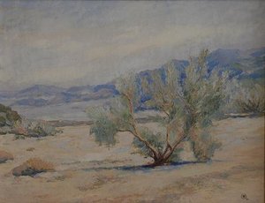 Smoke Tree Wash, (painting) — Mary Agnes Yerkes