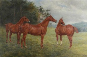 Three Chestnut Horses In A Landscape — Evelyn Blacklock