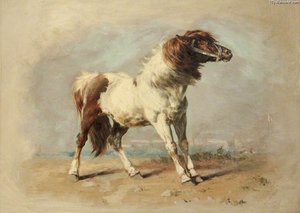 Pit Pony — William Arnold Woodhouse