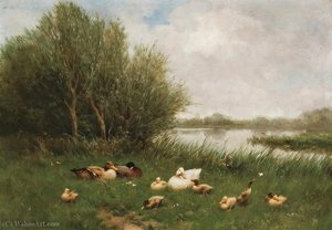 A Brace of Mallards