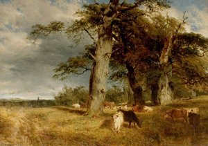 Landscape in the Dukeries, Nottinghamshire