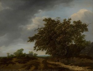 Landscape On The Edge Of The Dunes — Vermeer Van Haarlem, Jan