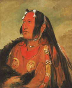 Wi-jún-jon, Taube