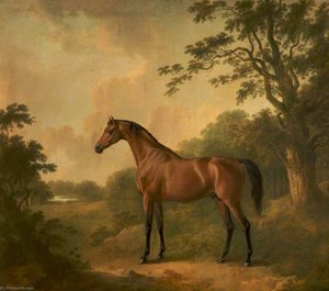 A Bay Hunter Named 'sir Oliver' — John Boultbee, Academic Realism