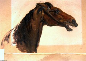 Horse's Head — George Harvey