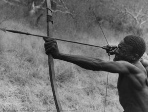 A Poacher With A Poisoned Arrow — Mohamed Amin