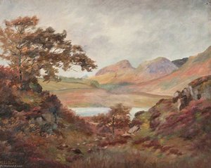 Dumgoyne, Milngavie — Robert Lillie, Other