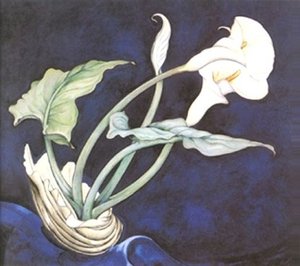 Calla Lillies