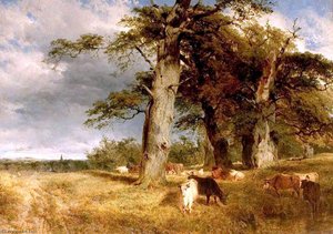 Landscape in the Dukeries, Nottinghamshire