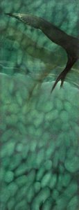 Wing Trace (a Gentle Hush…) — Neil Dallas Brown