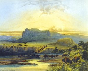 Herd Of Bisons On The Upper Missouri — Karl Bodmer