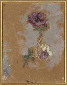 Deux Anemones — Jean-édouard Vuillard
