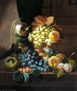 Fruit, Birds Nest And Birds In Bell Jar — John Wainwright