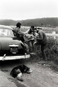 Mendocino — Alvin Lieberman