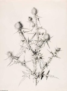 Untitled (thistle) — George Elbert Burr