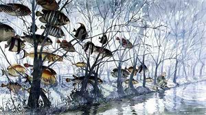 Fly Fishing — Lucy Willis