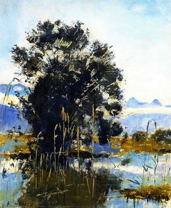 Marshland by Gwatt (Lake of Thun)