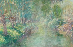 Sunlight on a riverbank