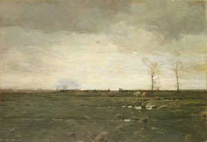 The Meadows