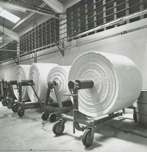 Webuye Pan African Paper Mill
