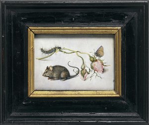 Mouse With Roses — Jan Brueghel The Elder