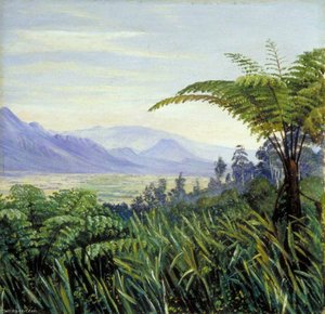 Baumfarn In Den Preanger-bergen, Java — Marianne North
