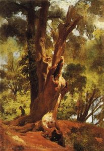 Tree And Figure — Giovanni Costa