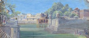 Großer Teich Von Govardhan, Delhi, Indien — Marianne North