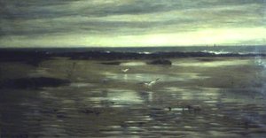 A Lone Shore