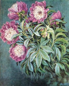 Peonies — Kateryna Vasylivna Bilokur