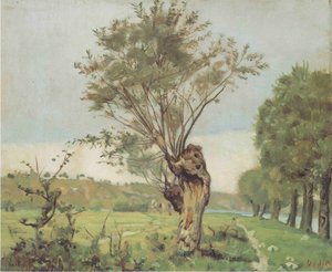 Pastures At The Jonction At Geneva — Ferdinand Hodler