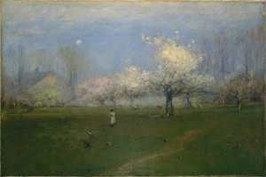 Spring Blossoms