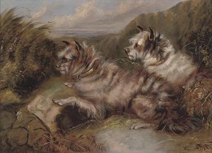 Terriers On The Scent — George Armfield (smith)
