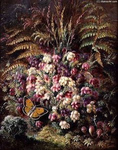 Bell Heather — Albrecht Dürer