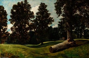 Forest Scene With Fallen Trunk — William James Müller