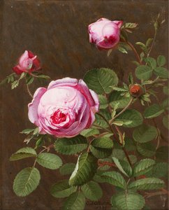 Untitled — Otto Didrik Ottesen