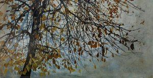 Fall Shades — Susana García Bravo