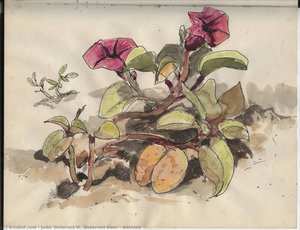 Untitled — Judd, Deforrest H. (deforrest Hale)