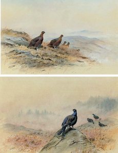 Red Grouse On A Rocky Hillside; And Blackcock On A Rocky Outcrop — George Edward Lodge