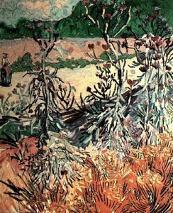 Thistles — Vincent Willem Van Gogh