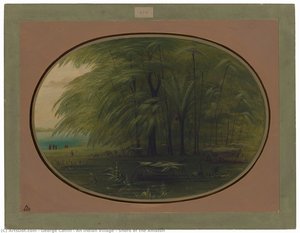 An Indian Village - Shore Of The Amazon — George Catlin