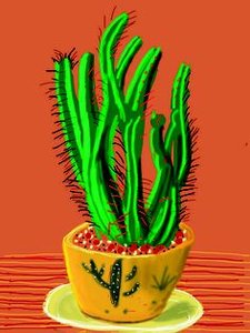Cactus — Dejvid Hokni, Pop Art